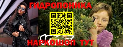 индика Малгобек