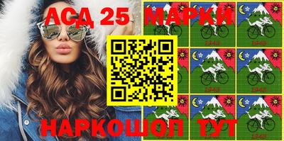 индика Малгобек