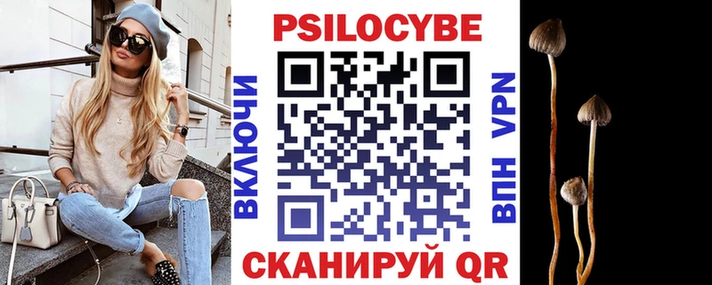 Псилоцибиновые грибы Magic Shrooms  даркнет сайт  Бузулук 