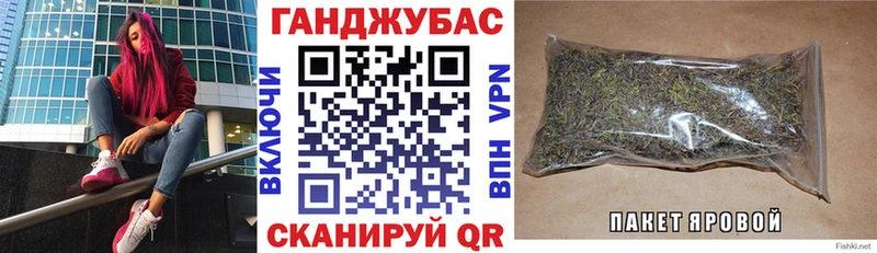 Конопля сатива  Бузулук 